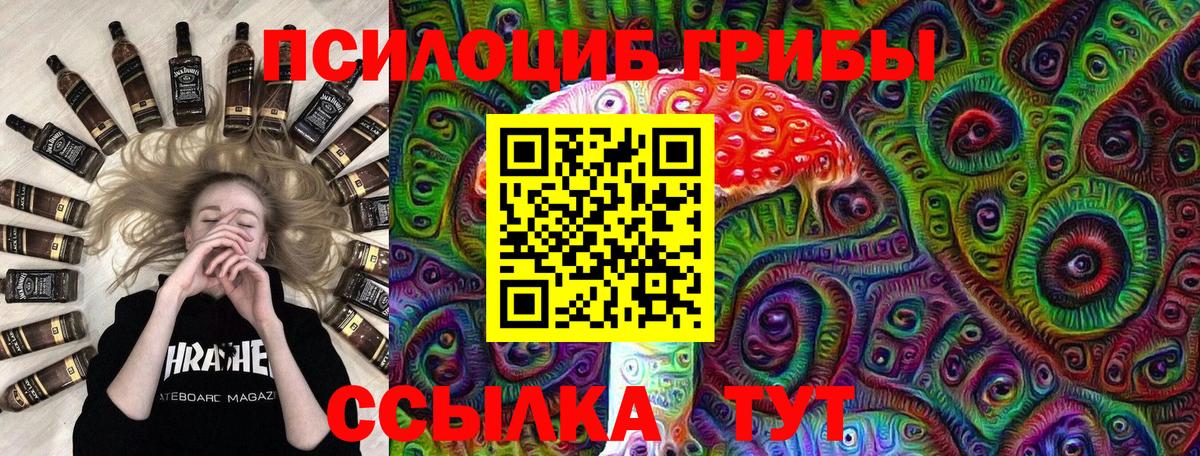 Псилоцибиновые грибы Psilocybine cubensis  Вход с VPN  Саров  Галлюциногенные грибы Psilocybine cubensis 